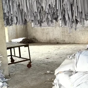 White leather hides hanging in rows for air drying before protective glove manufacturing.